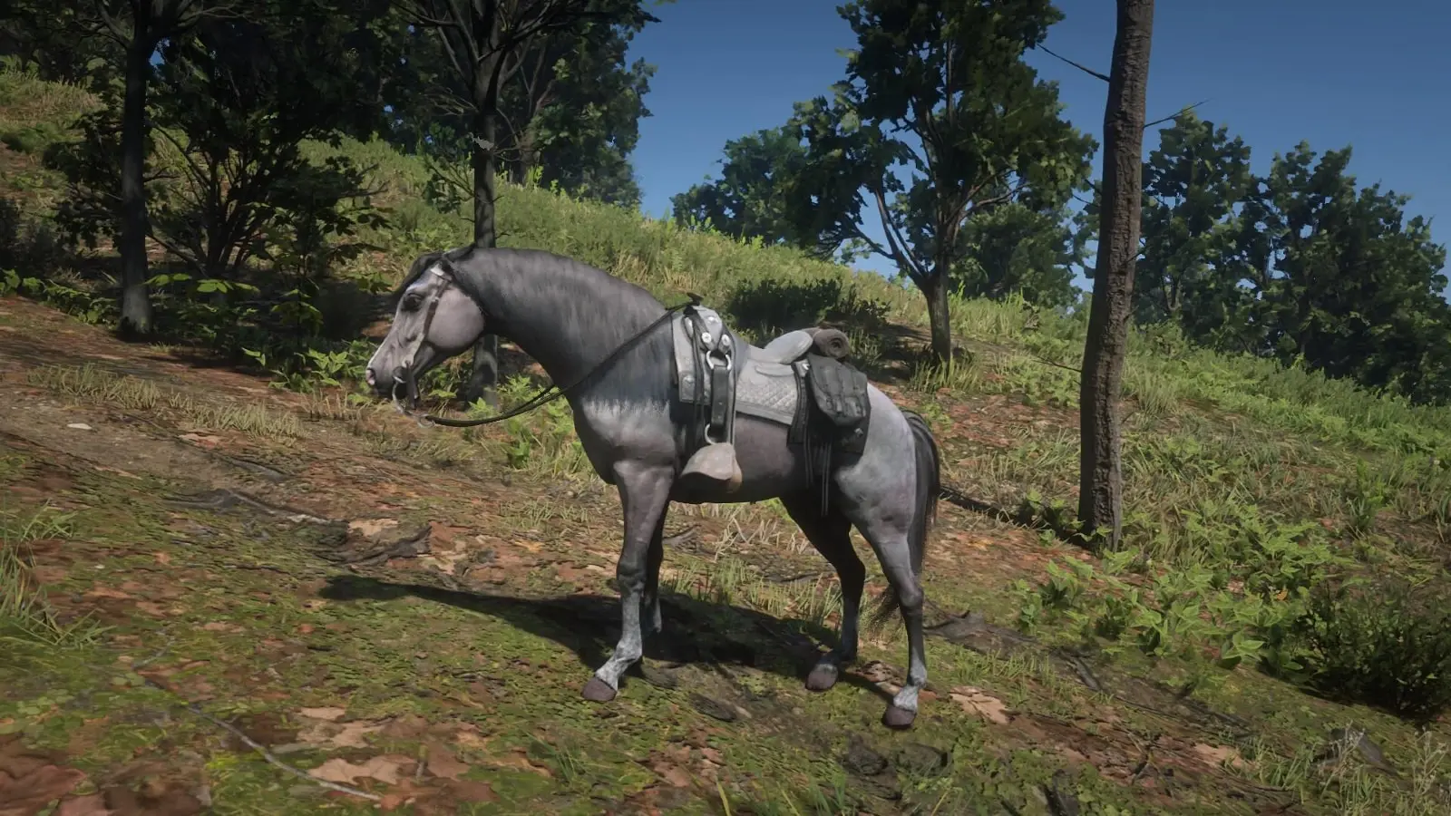 the Rose Bay Grey Arabian, the best horse in red dead redemption 2