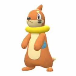 Buizel