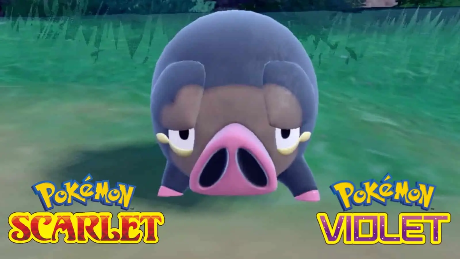 lechonk pokemon scarlet violet