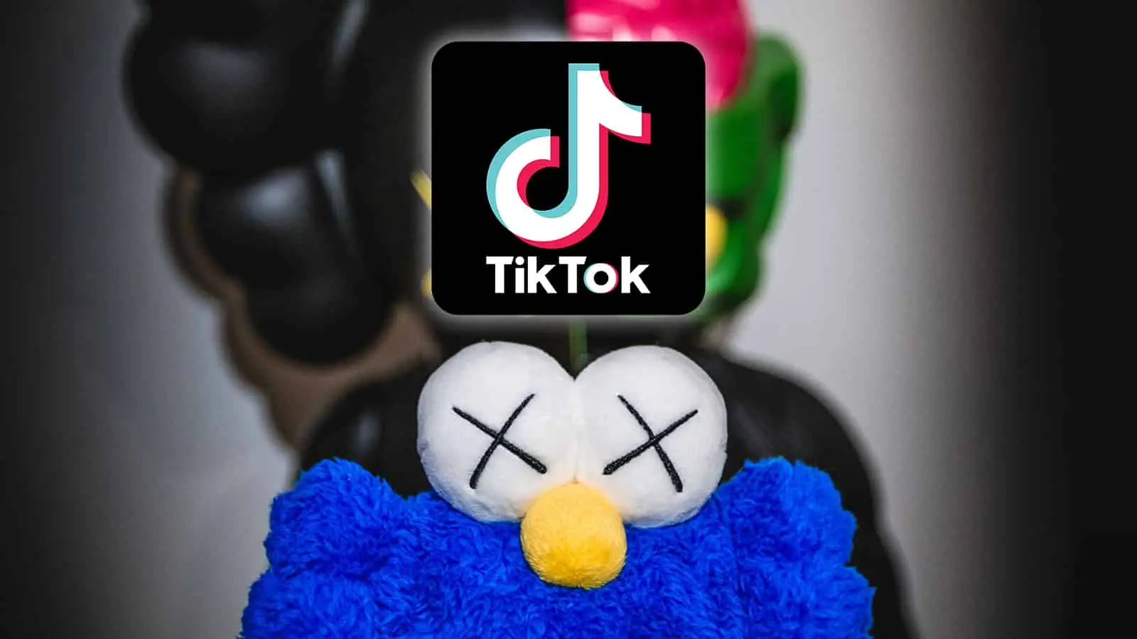 tiktok kaw kaws