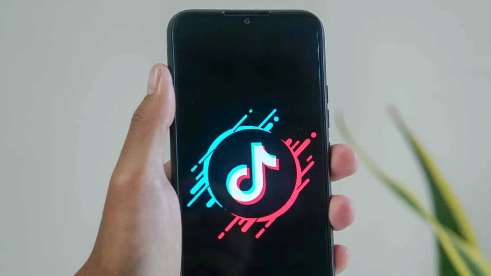 TikTok logo on a phone screen