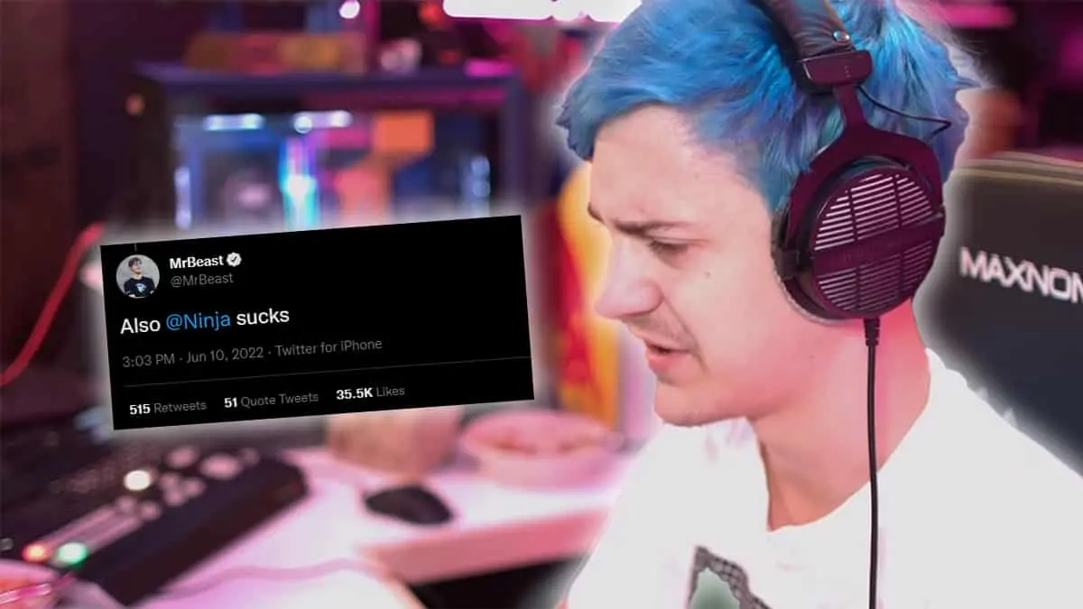 ninja roasts mrbeast