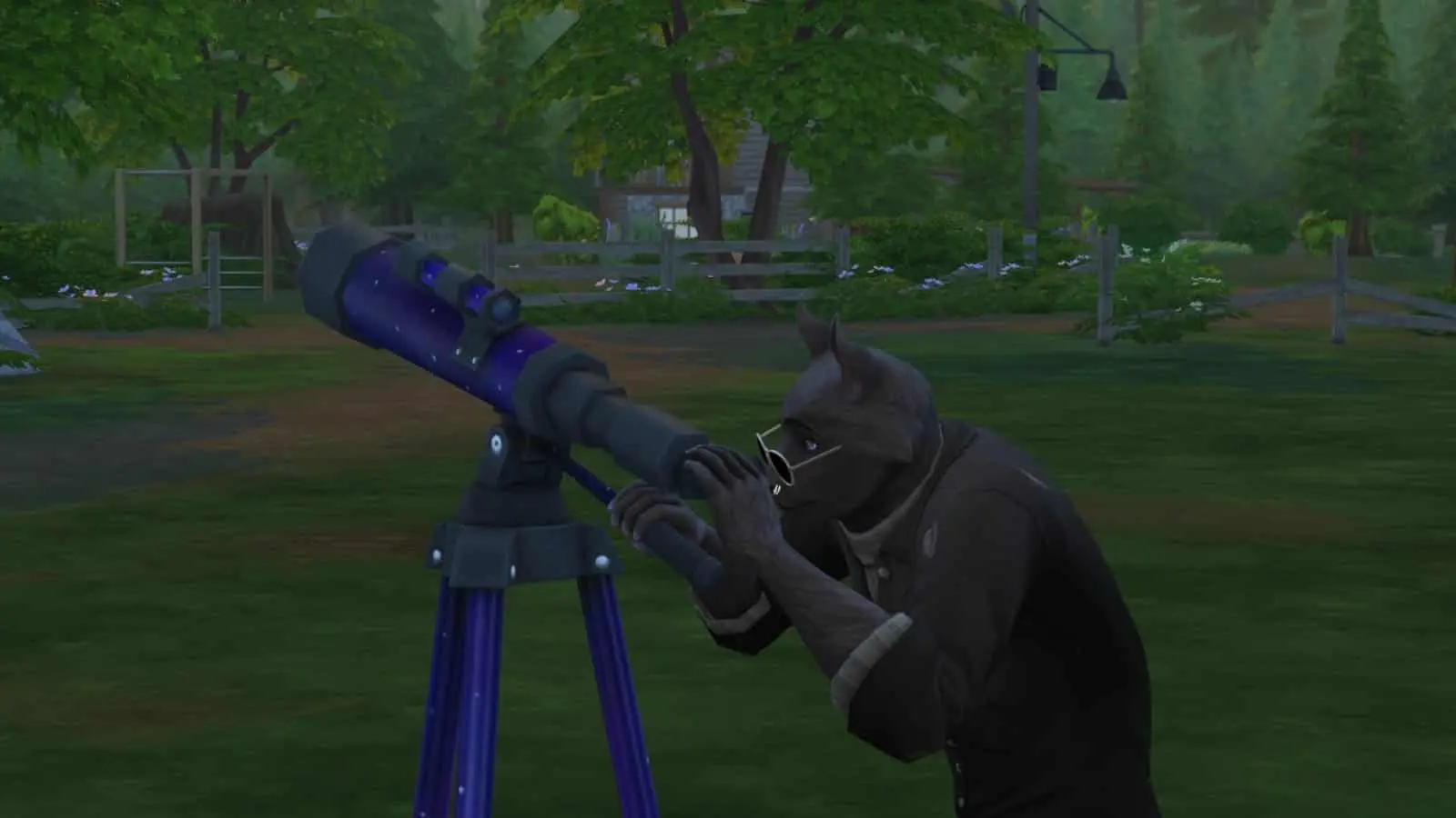 sims 4 small telescope meteor death