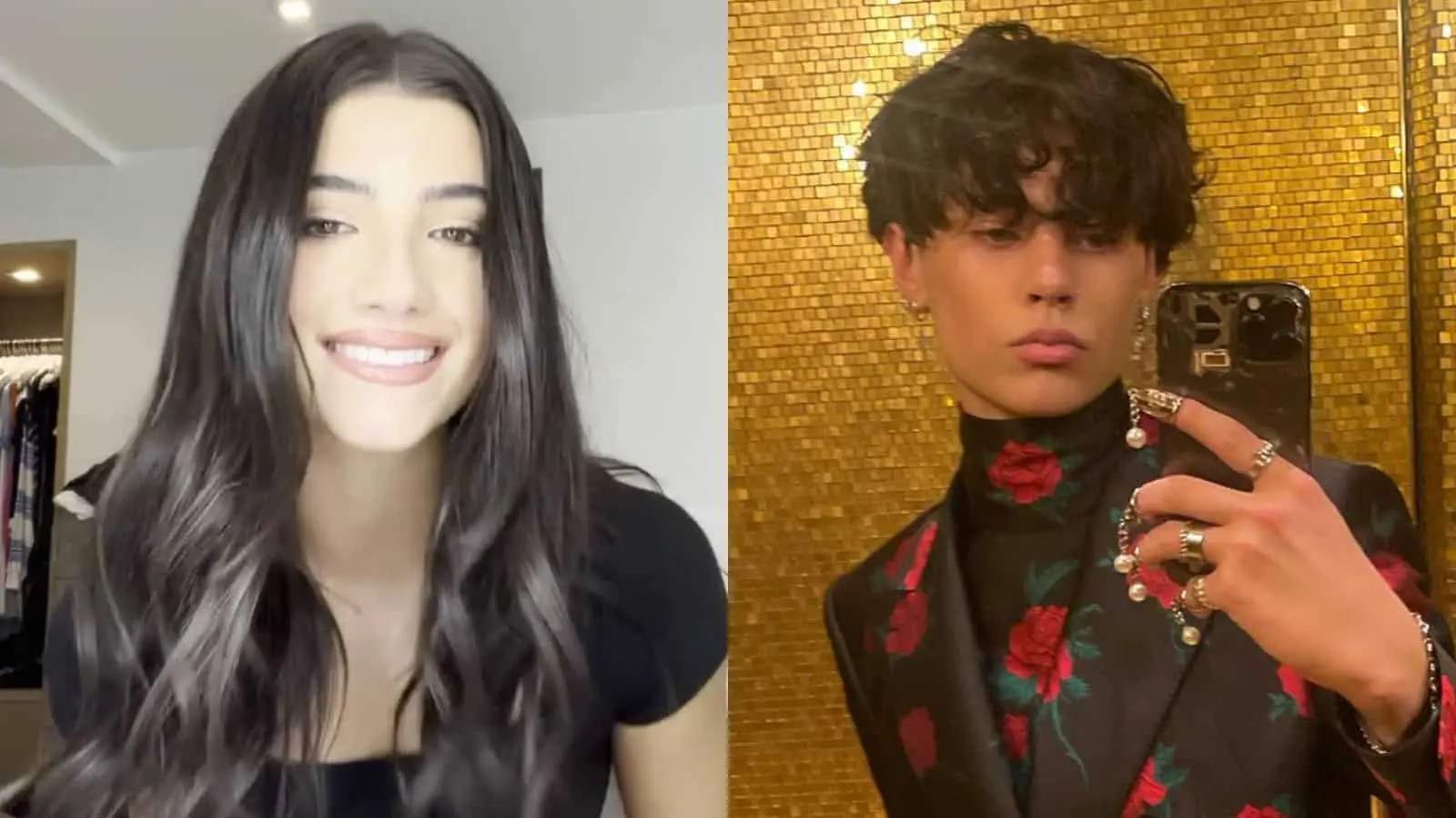 charli damelio tiktok