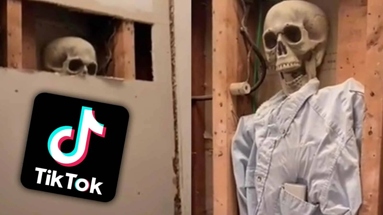 Skeleton Behind Bathroom Mirror TikTok