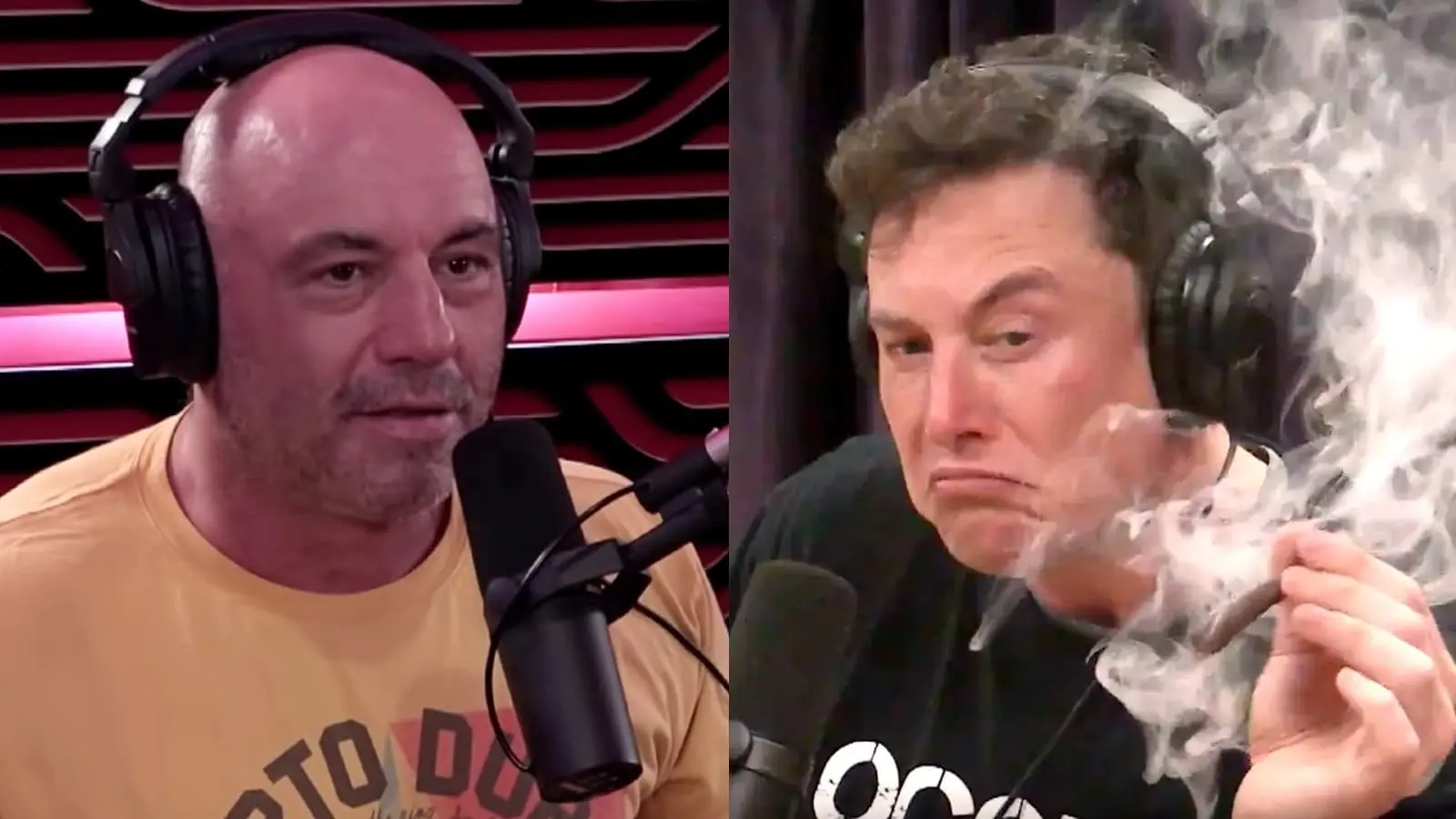 Elon Musk on Joe Rogan Experience podcast