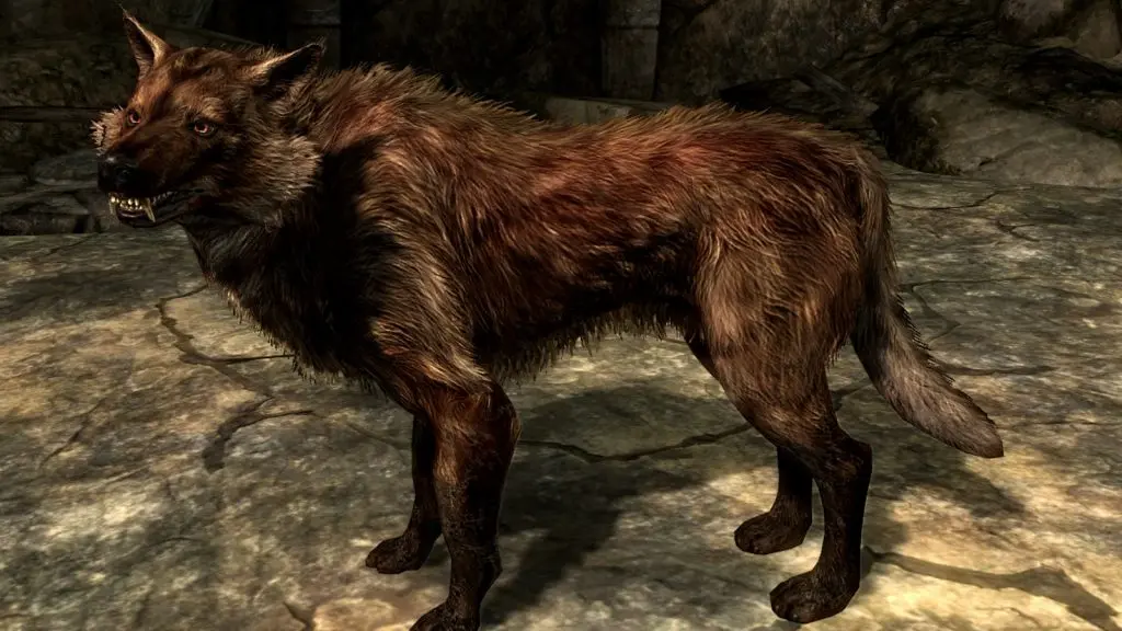 Buck in Skyrim