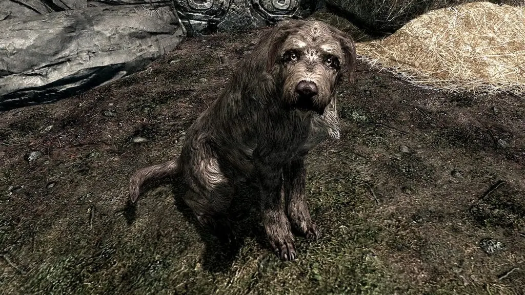 skyrim dog