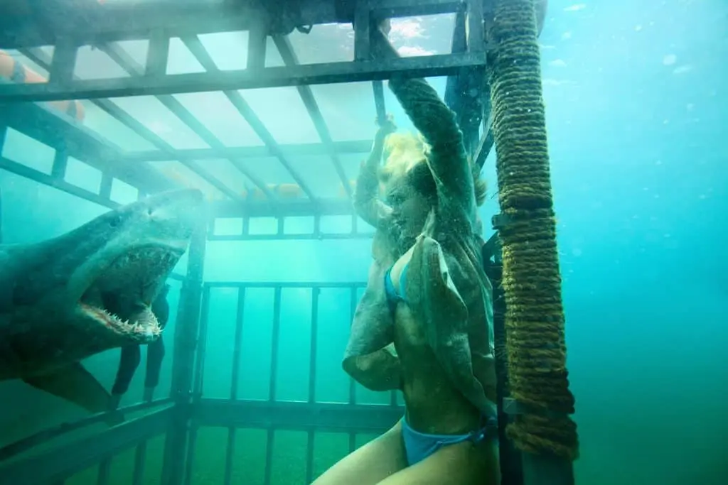 A still from Shark Night 3D