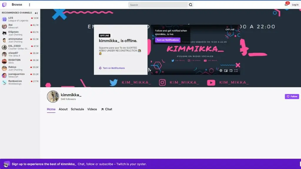 kimmikka twitch page