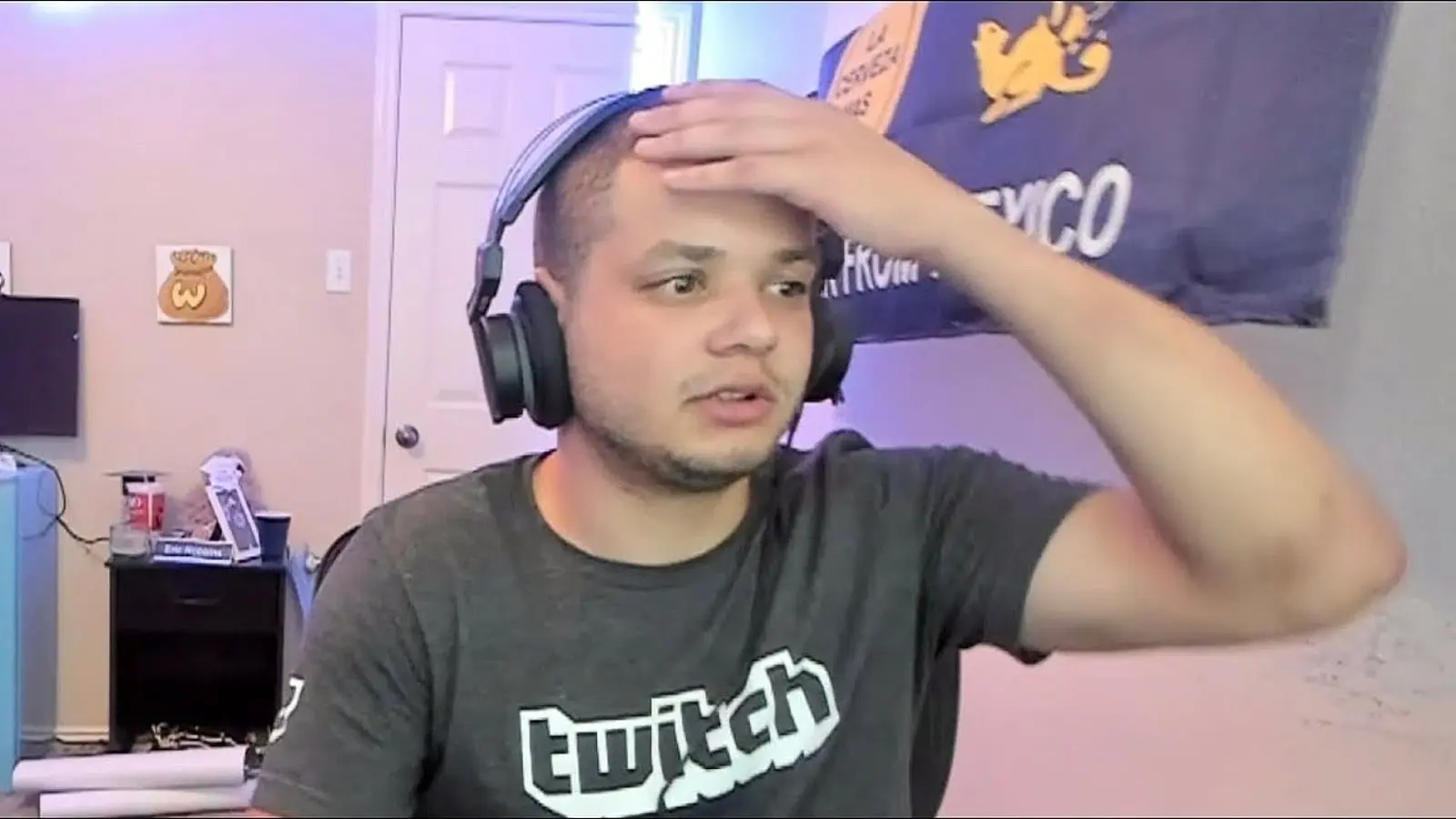 erobb twitch streamer