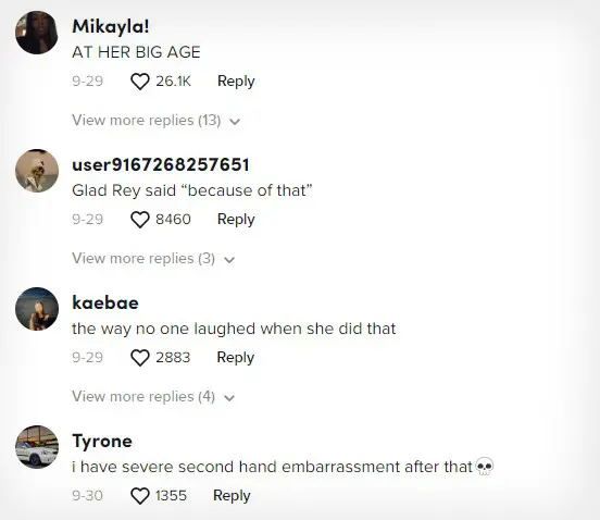 TikTok disneyland comments copy