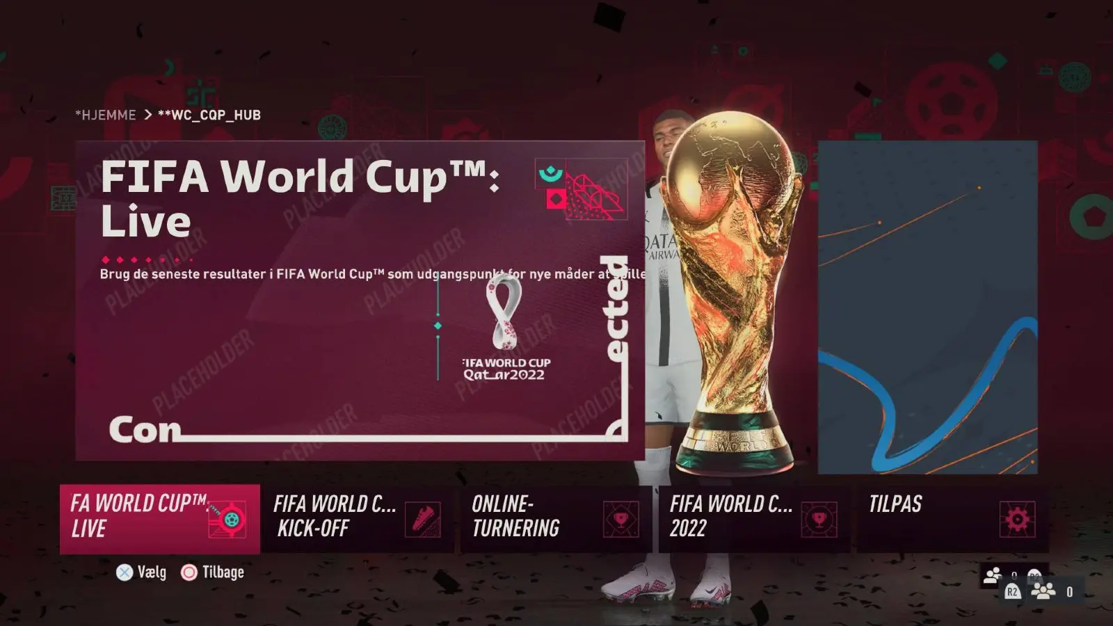 FIFA World Cup