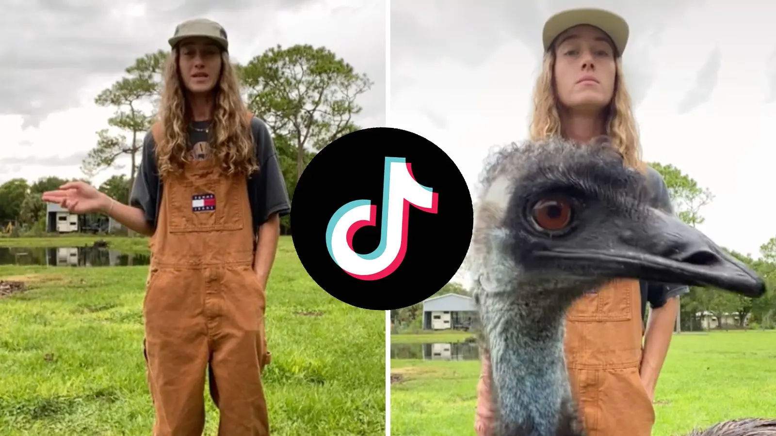 tiktok emmanuel the emu