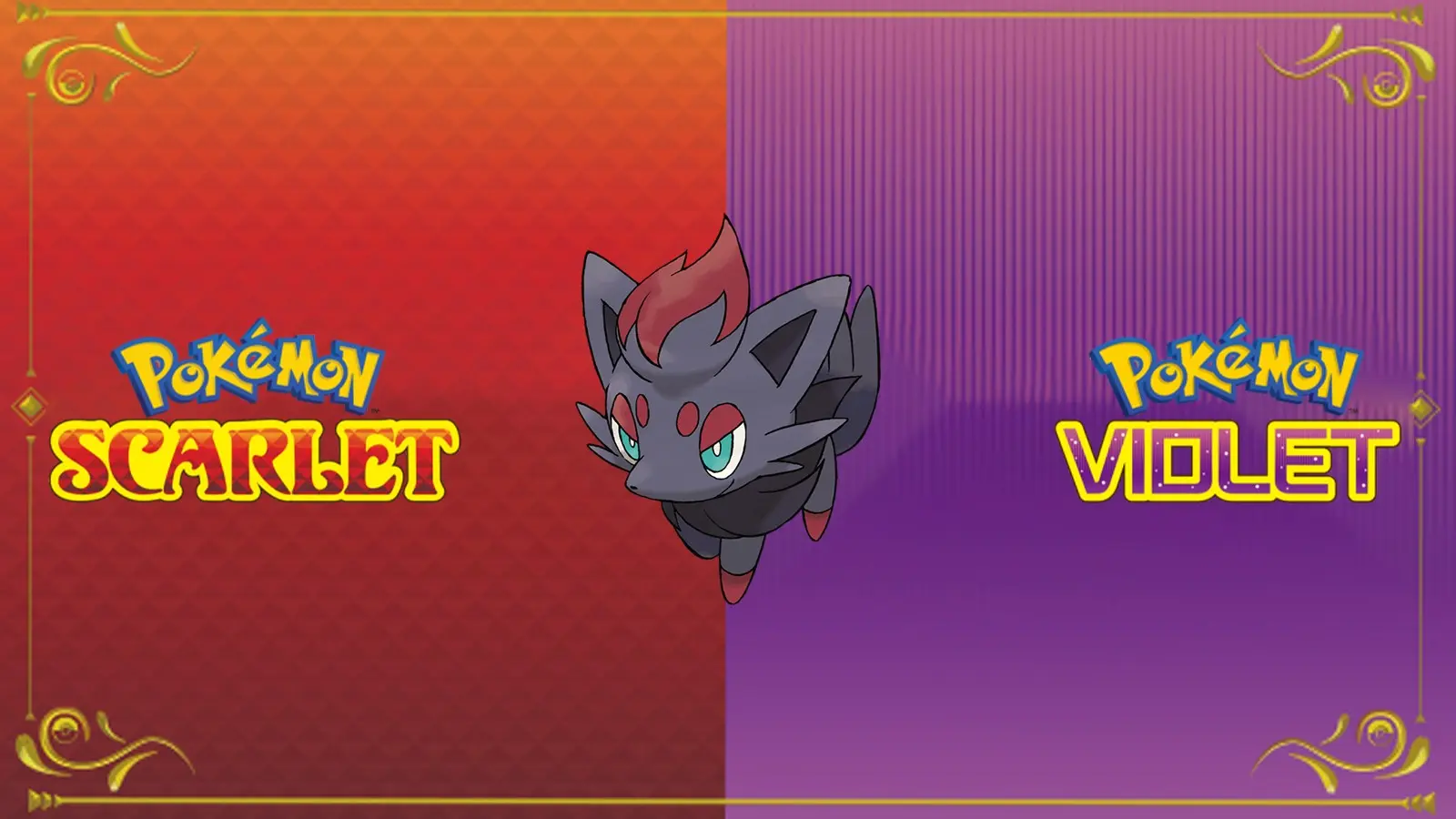 Pokemon Scarlet violet Zorua