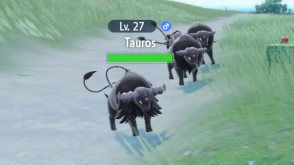 paldean tauros water