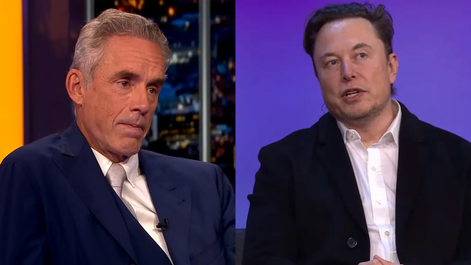 jordan peterson elon musk