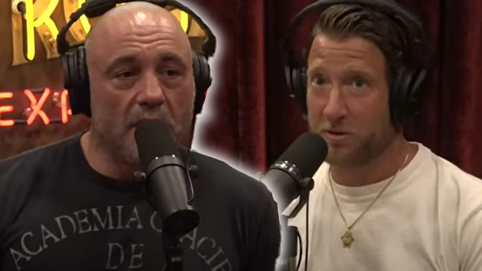 YouTube Joe Rogan Dave Portnoy