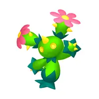 Maractus