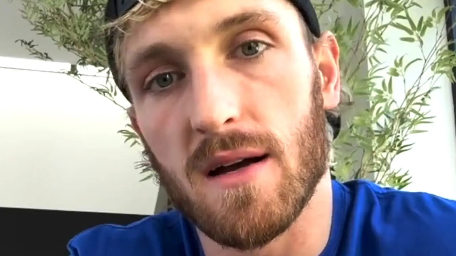 logan paul