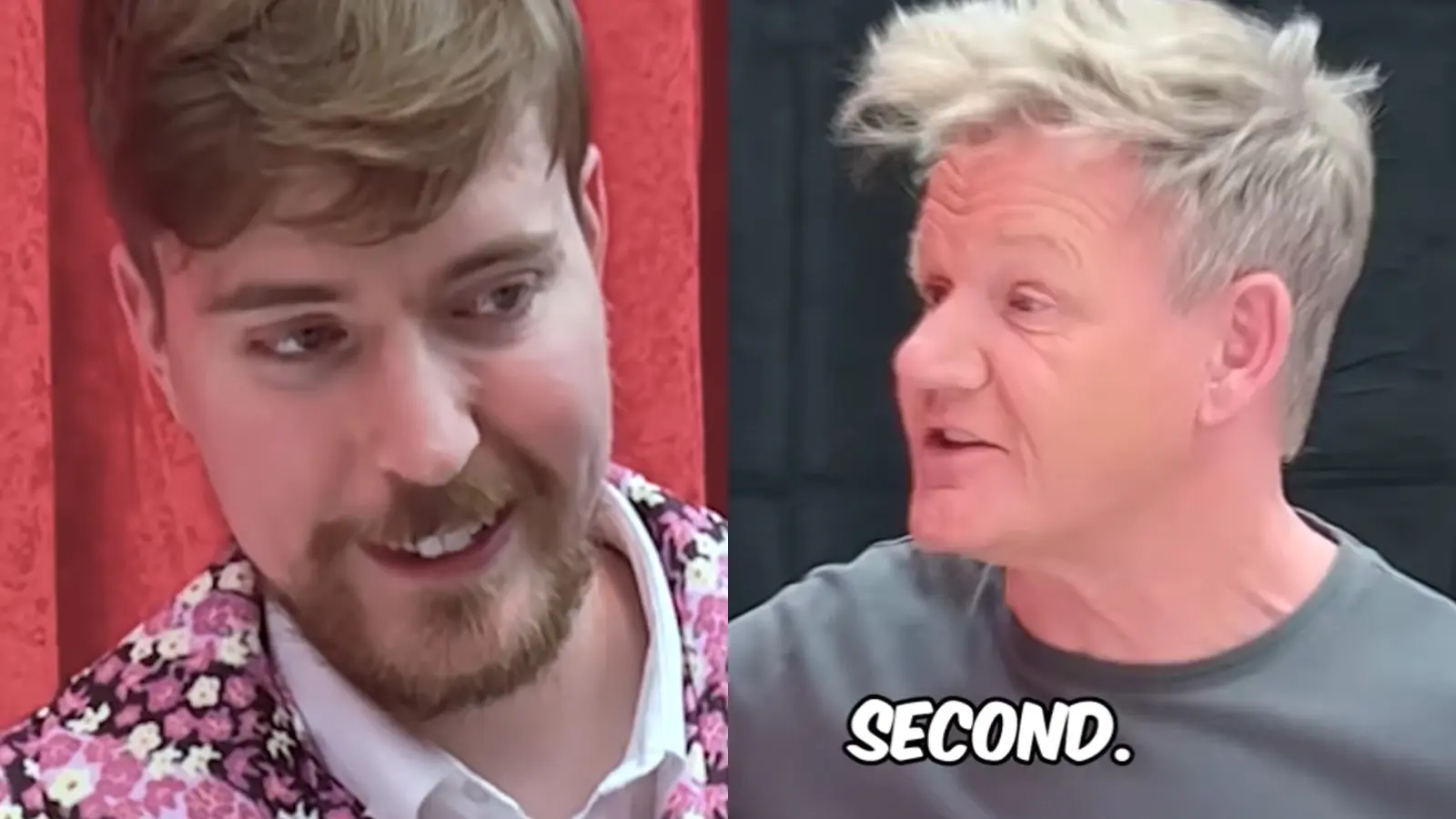 MrBeast Gordon Ramsay