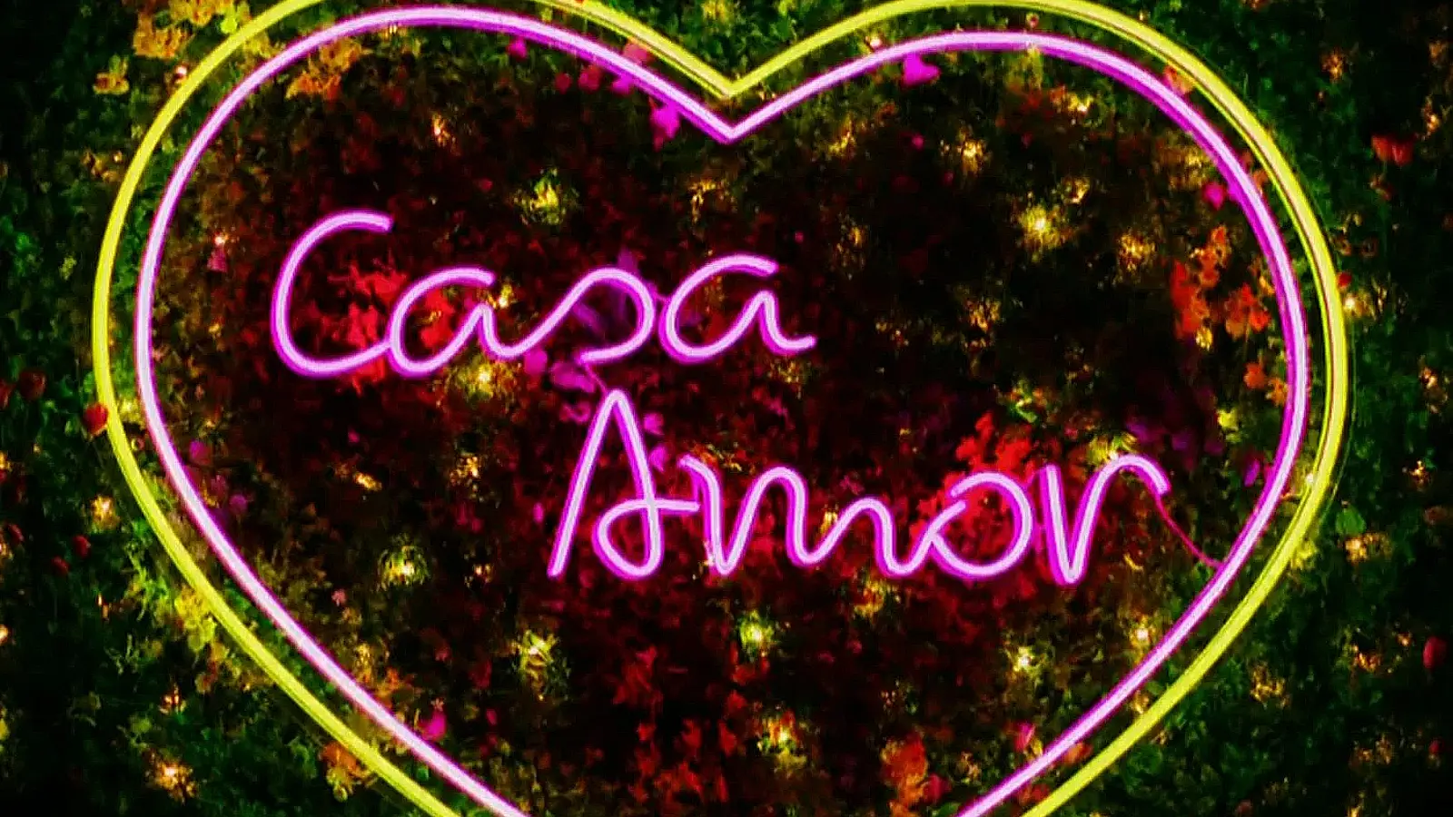 Casa Amor logo