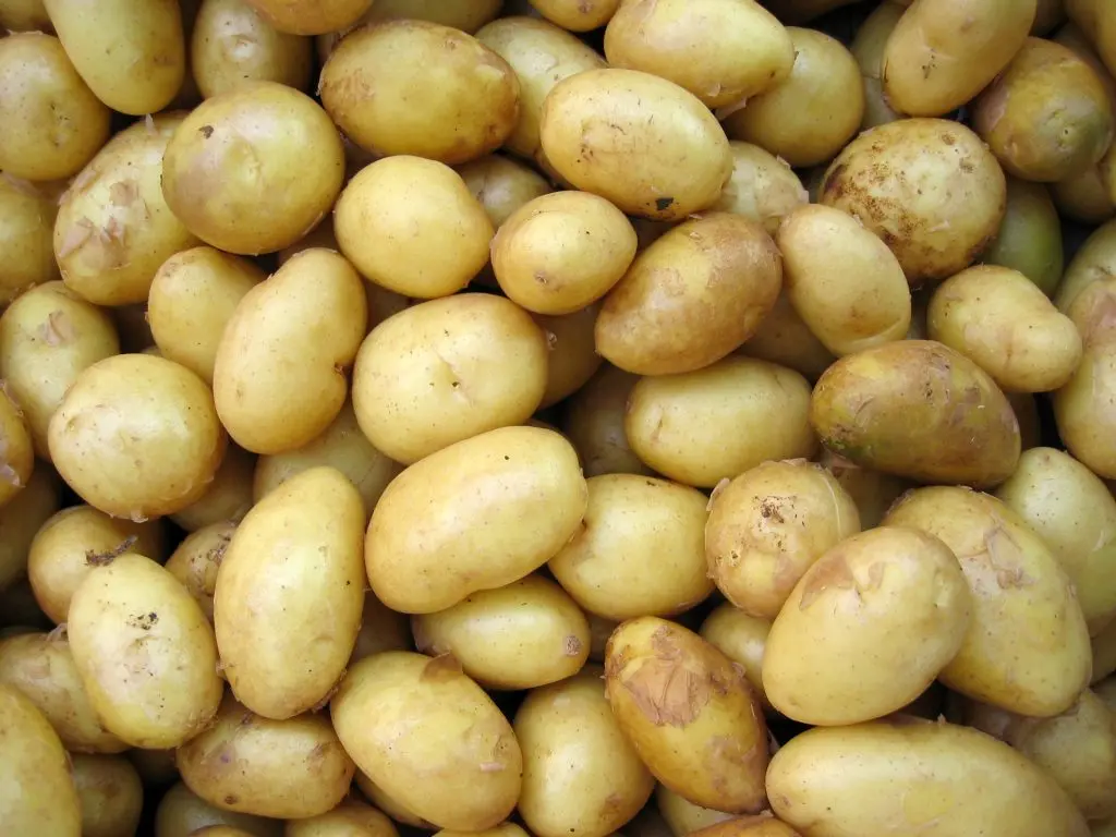 potato juice trend sparks backlash from doctors