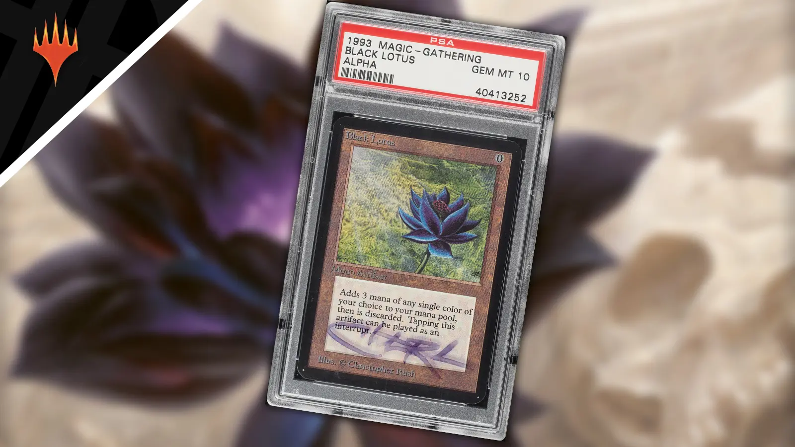 Magic's Black Lotus