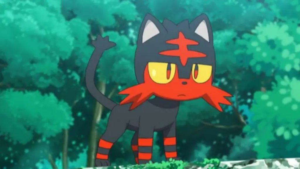 litten standing on a rock in Pokemon TV series