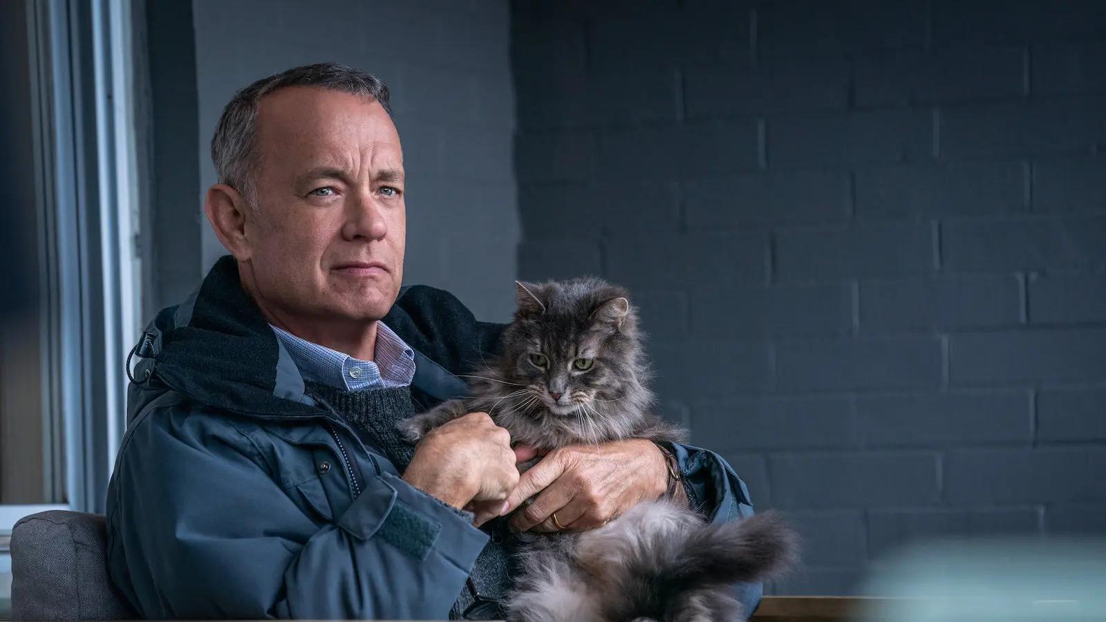 Tom Hanks in A Man Called Otto