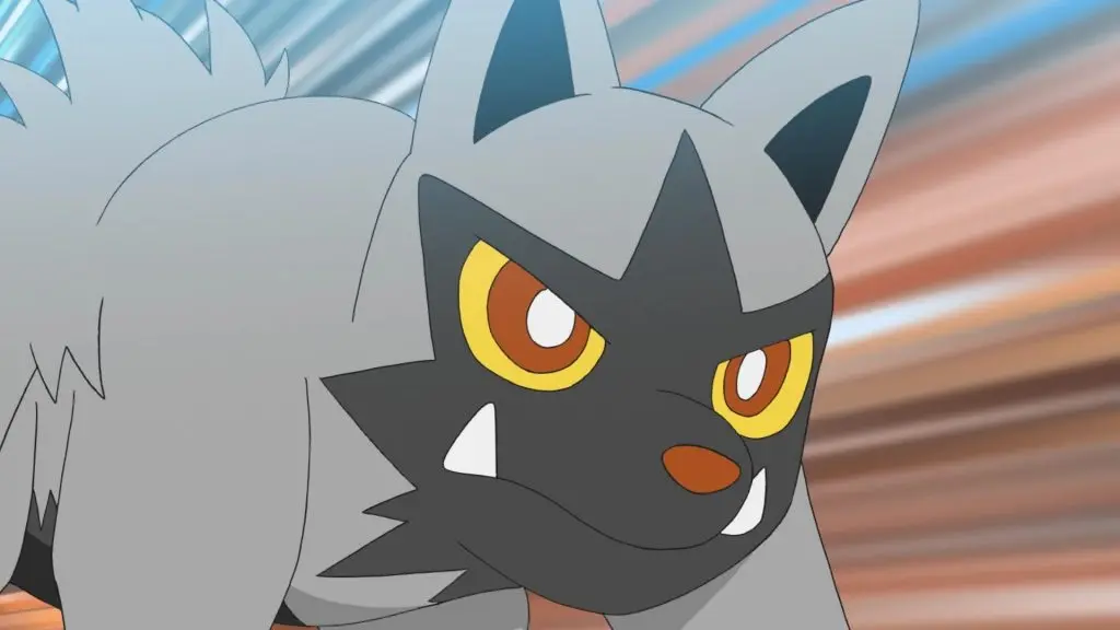 Poochyena in Pokemon TV show