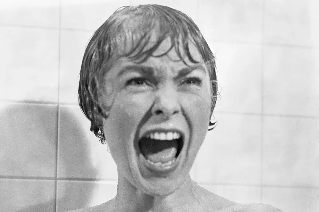 Janet Leigh in Psycho