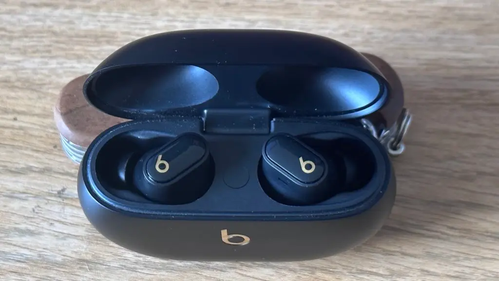 Beats Studio Buds Plus Cade Open top down view