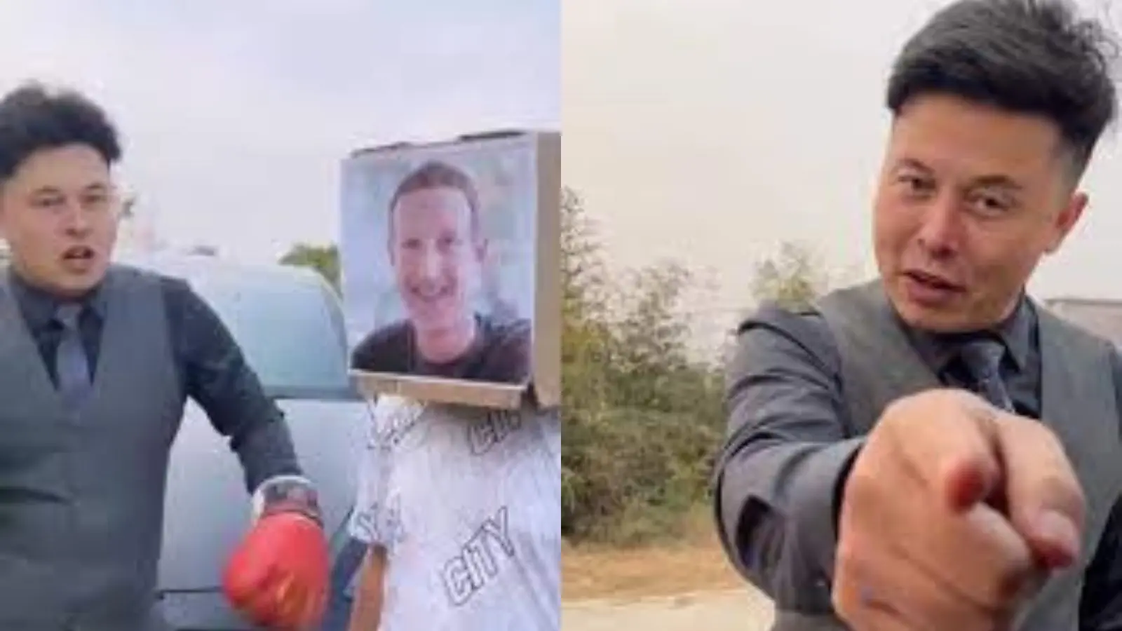 Elon musk doppleganger fighting Mark Zuckerberg box