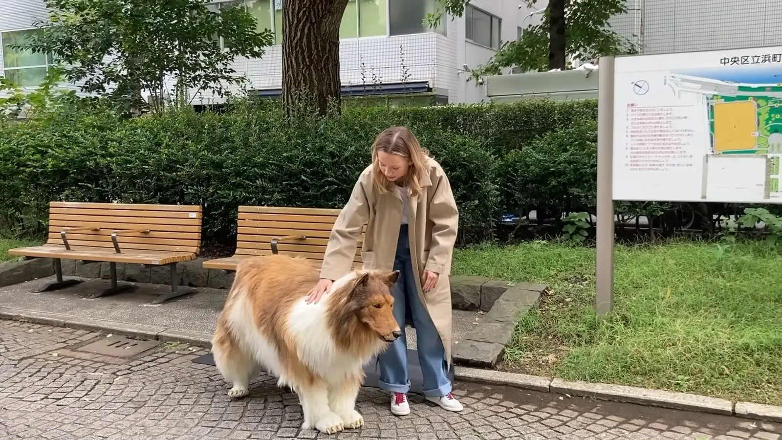 Japanese dog costume