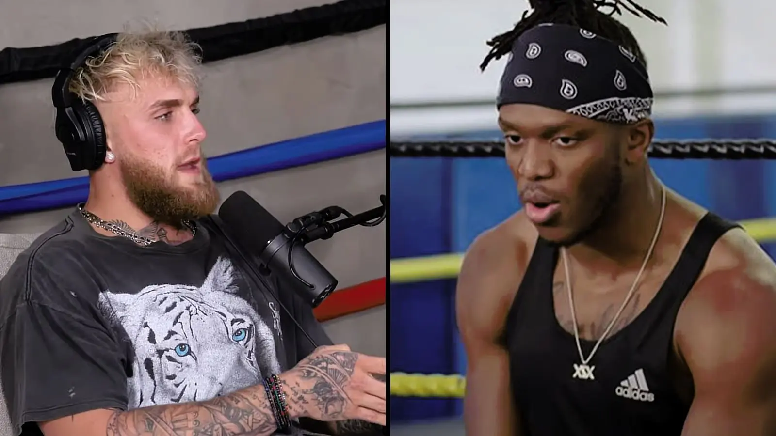 Jake Paul on KSI