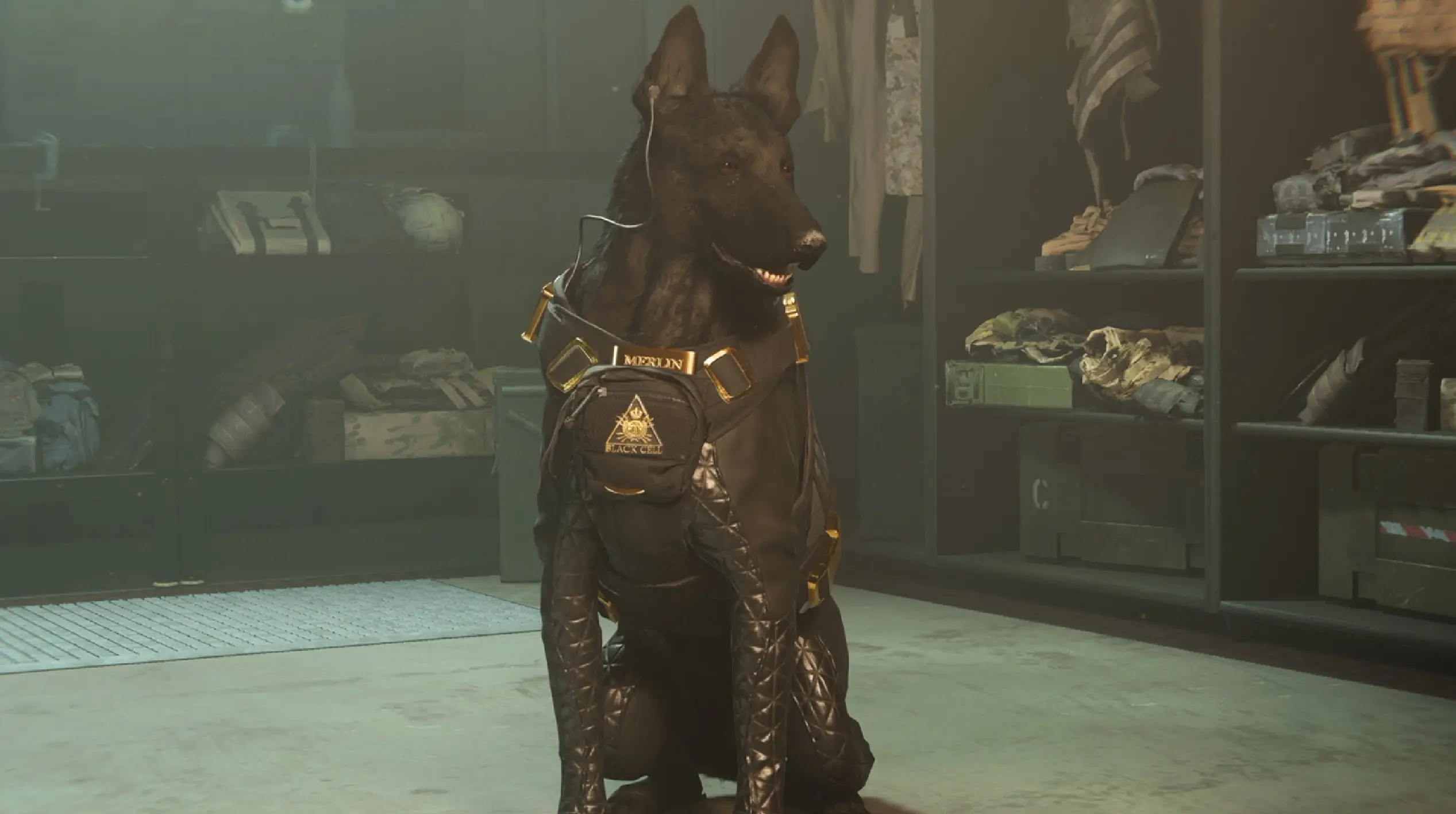 Pet Companion in CoD