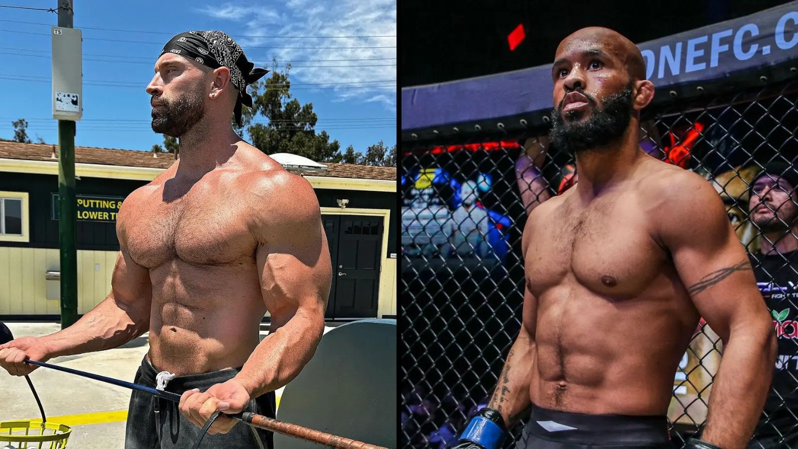 Bradley Martyn and Demetrious Johnson