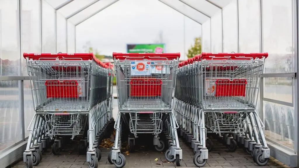 A Food Lion customer didn't take home a single item that was in their three carts.