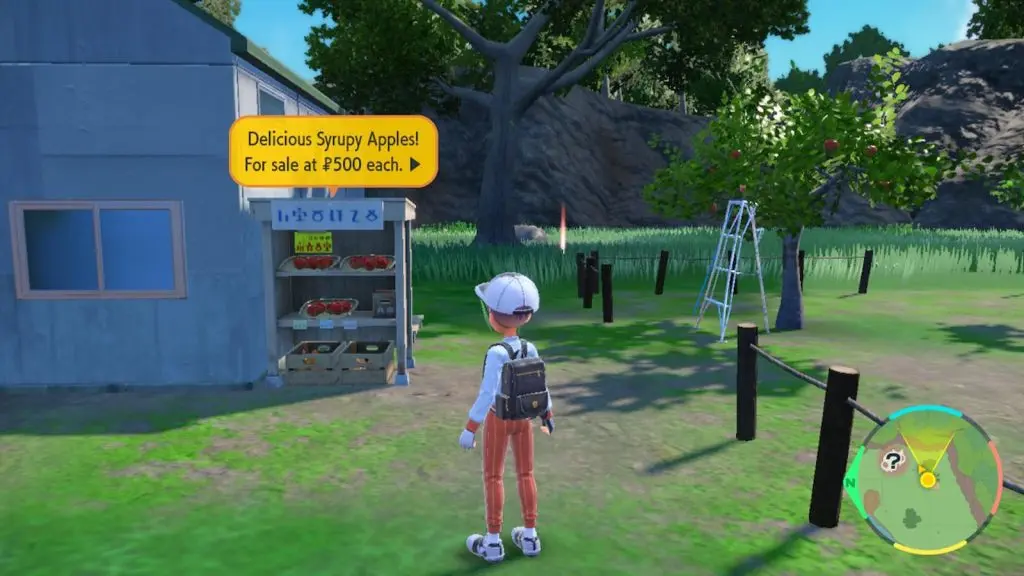 A Syrupy Apple stall in Pokemon Scarlet & Violet DLC