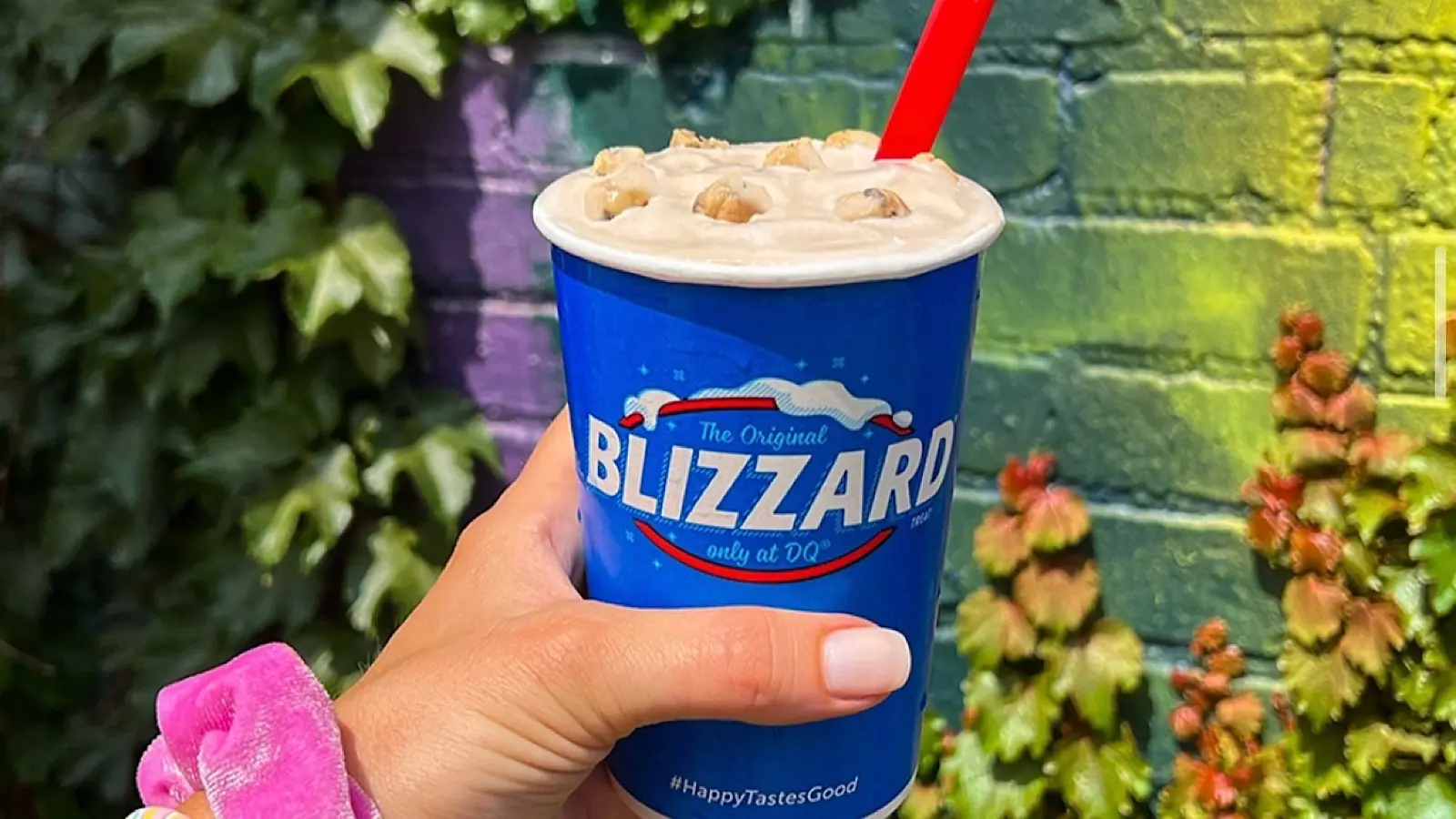 Dairy Queen Blizzard