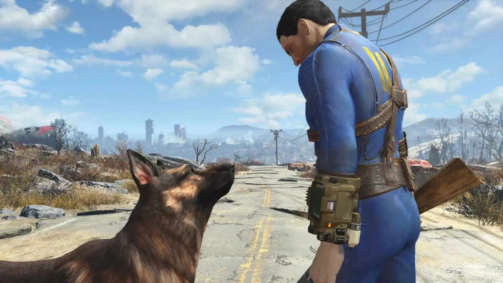 Fallout dog