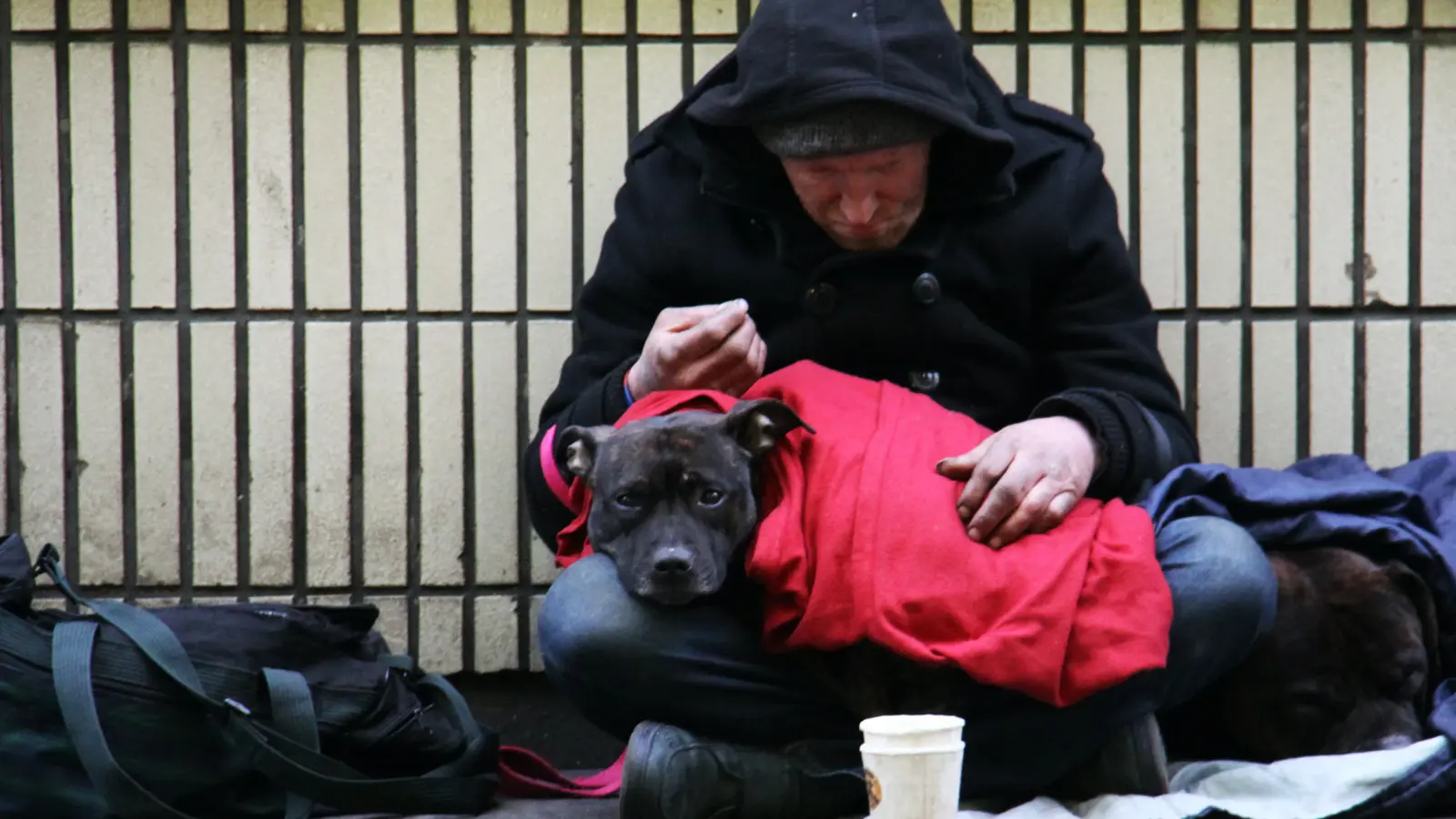 man sitting outside with his dog