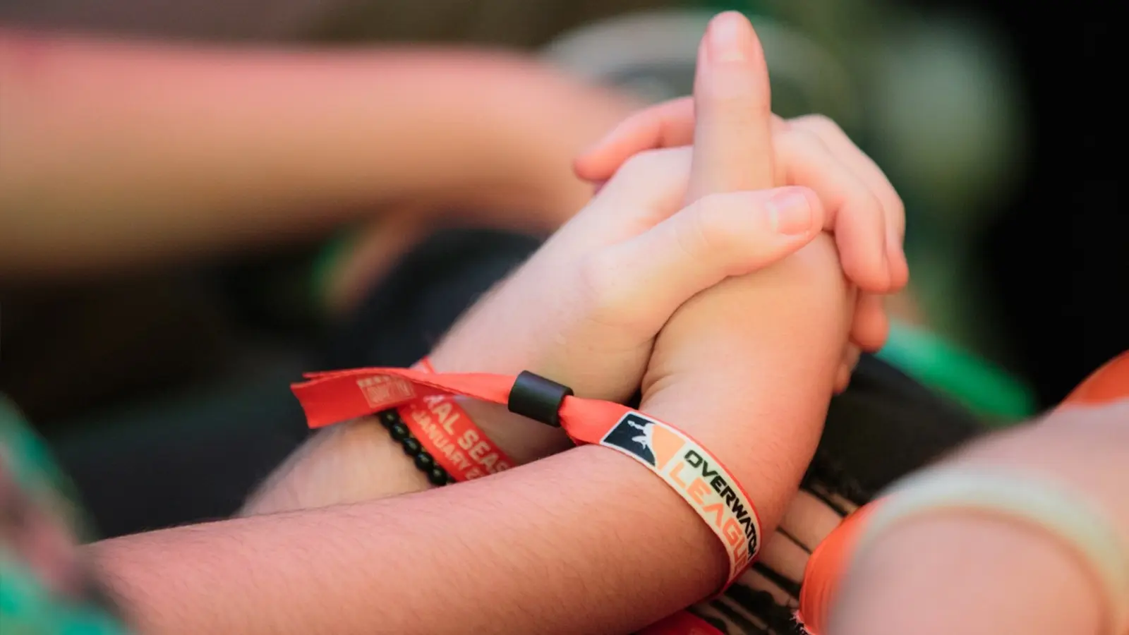 OWL bands on the hands of two attendees