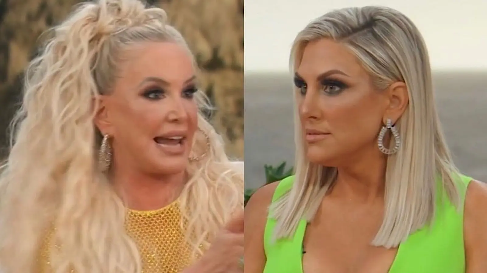 rhoc's shannon and gina