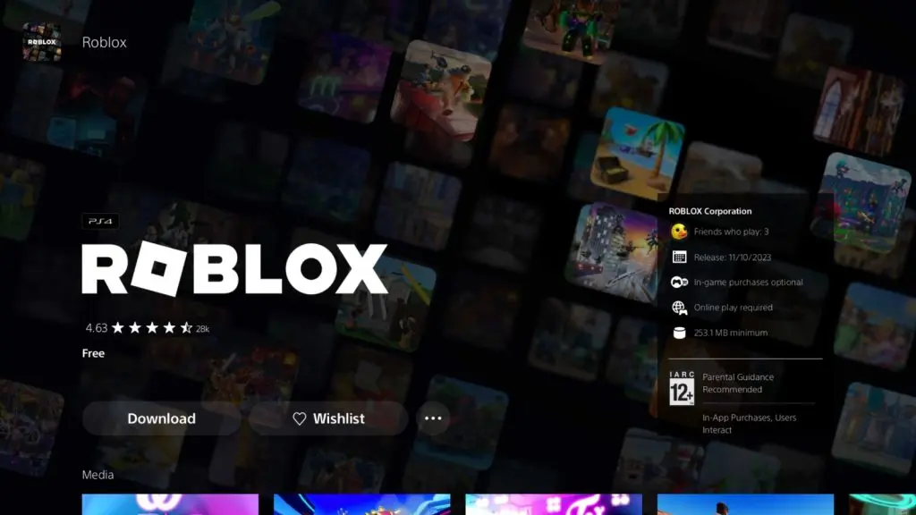 Roblox PSN store