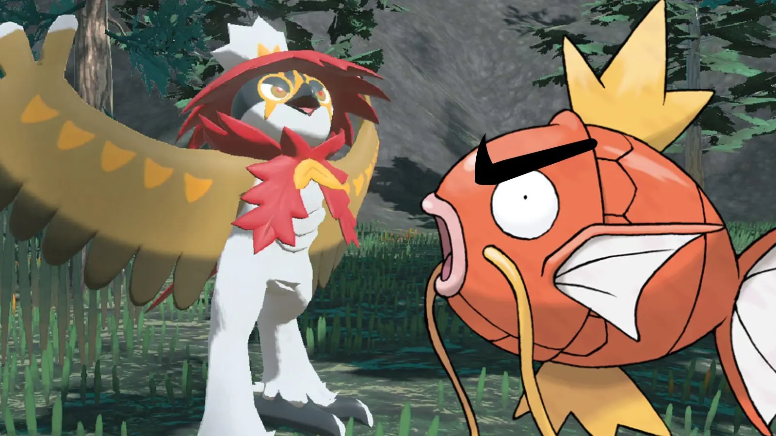 pokemon angry magikarp hisuian decidueye