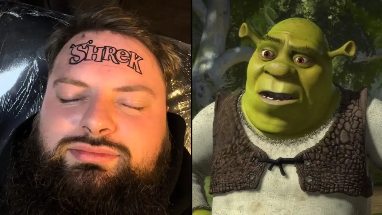 Shrek superfan splits TikTok with insane forehead 'tattoo'