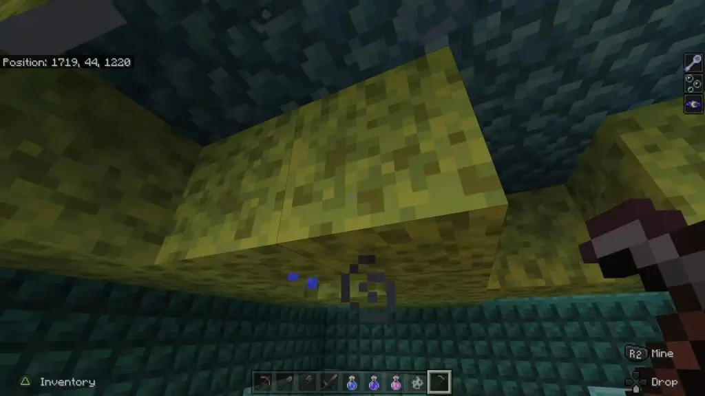 Sponge in minecraft