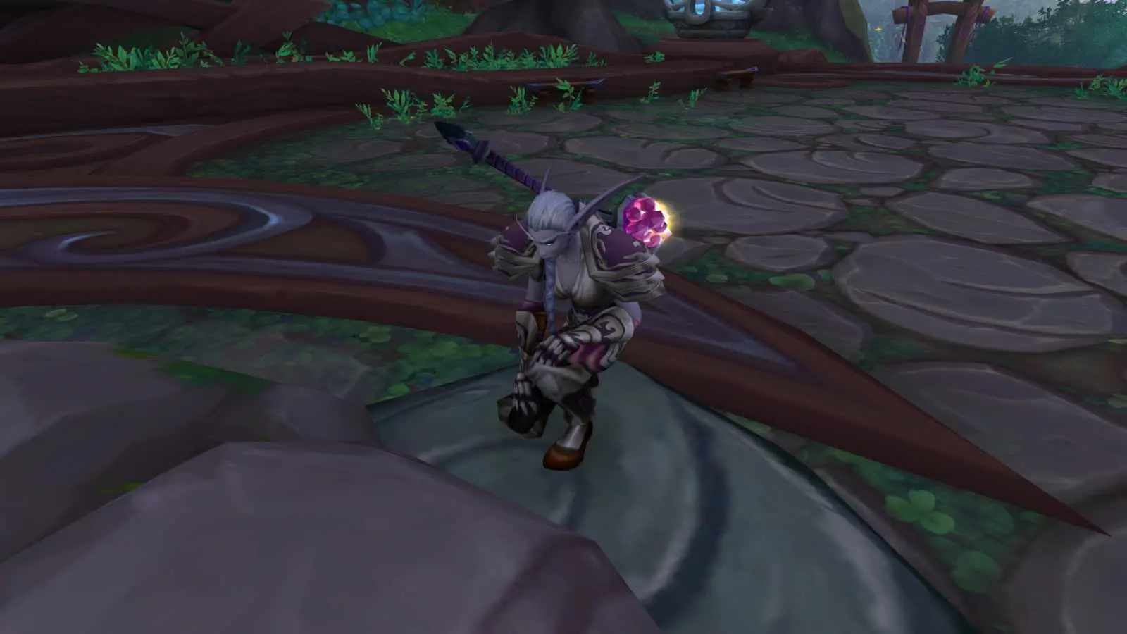 wow night elf paladin